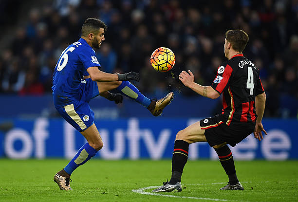 他们能否在 他们能否在