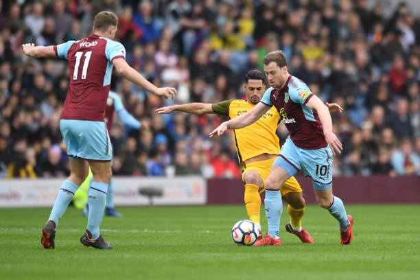 青训的发展 青训的发展